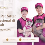 dog walker Pet sitter profesional Valove sedang memberikan perawatan pada anjing di dalam rumah